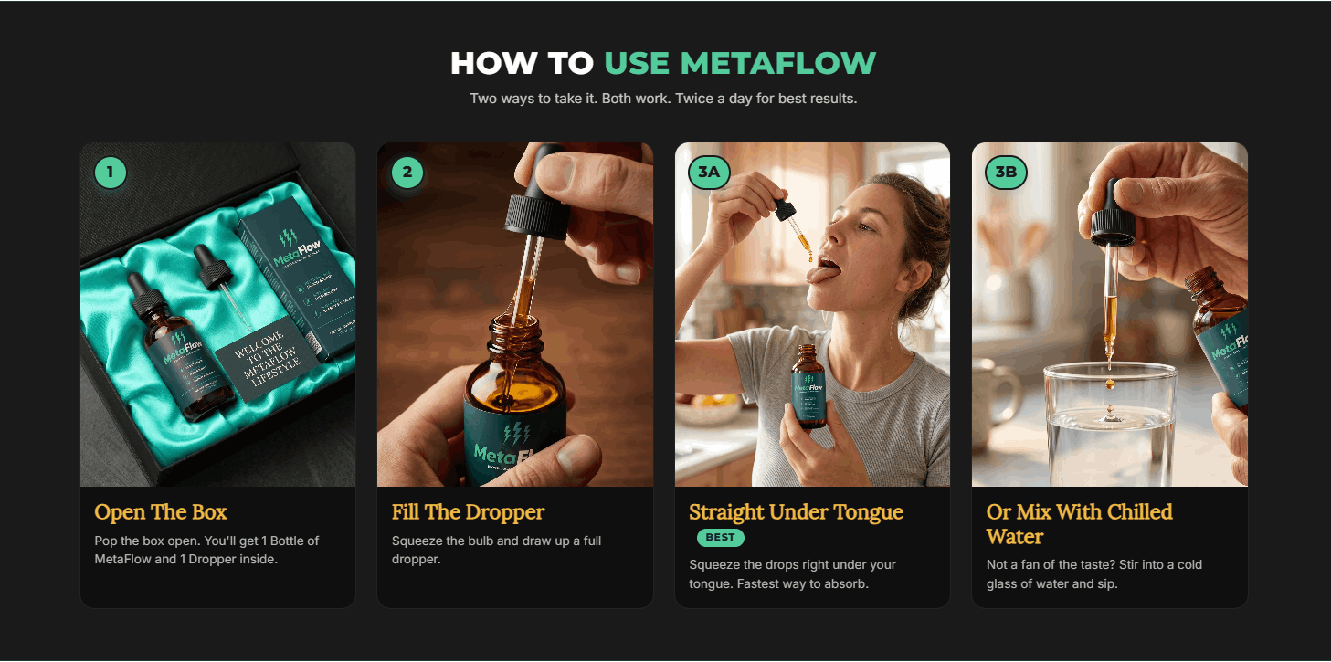 image showing how to use metaflow
